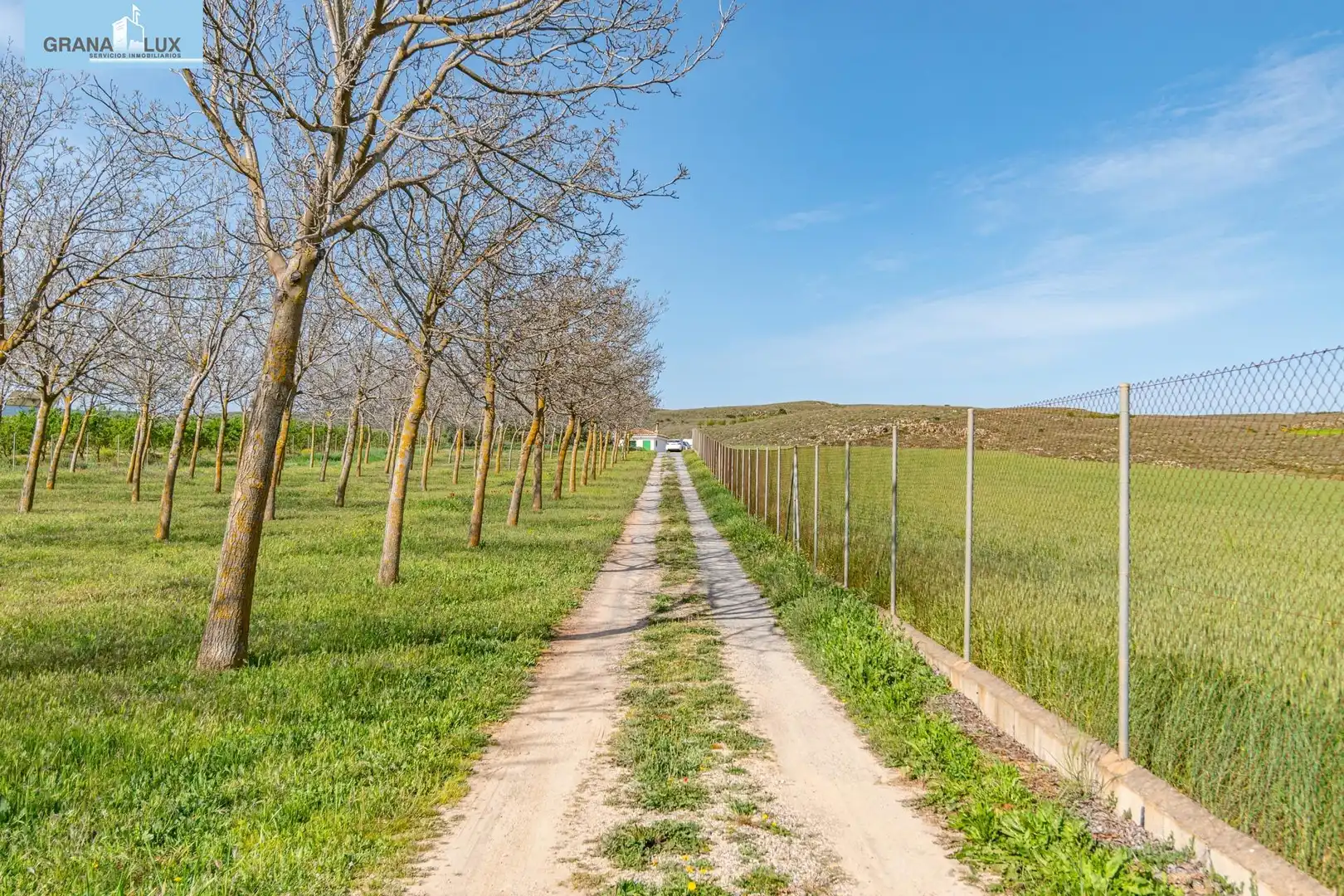 Rural land for sale in 18640, imagen 11