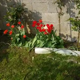 Casa amb jardí en venda a Campoo de Enmedio, imagen 25