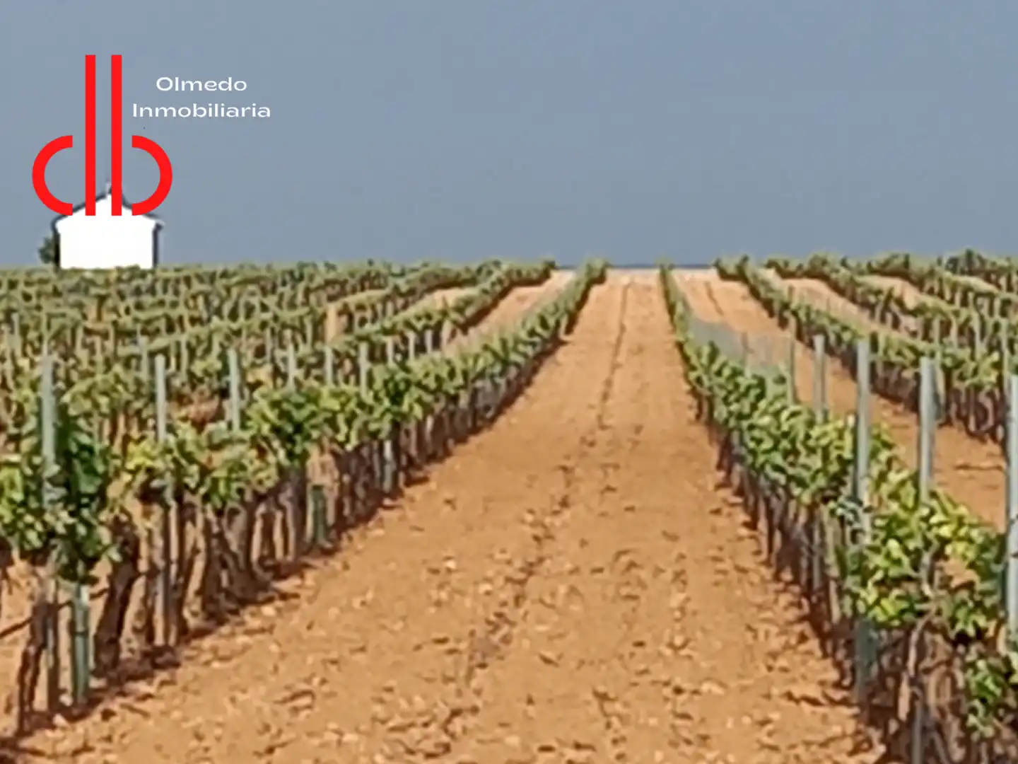 Rustikales Grundstück zum Verkauf in Pedro Muñoz, imagen 4