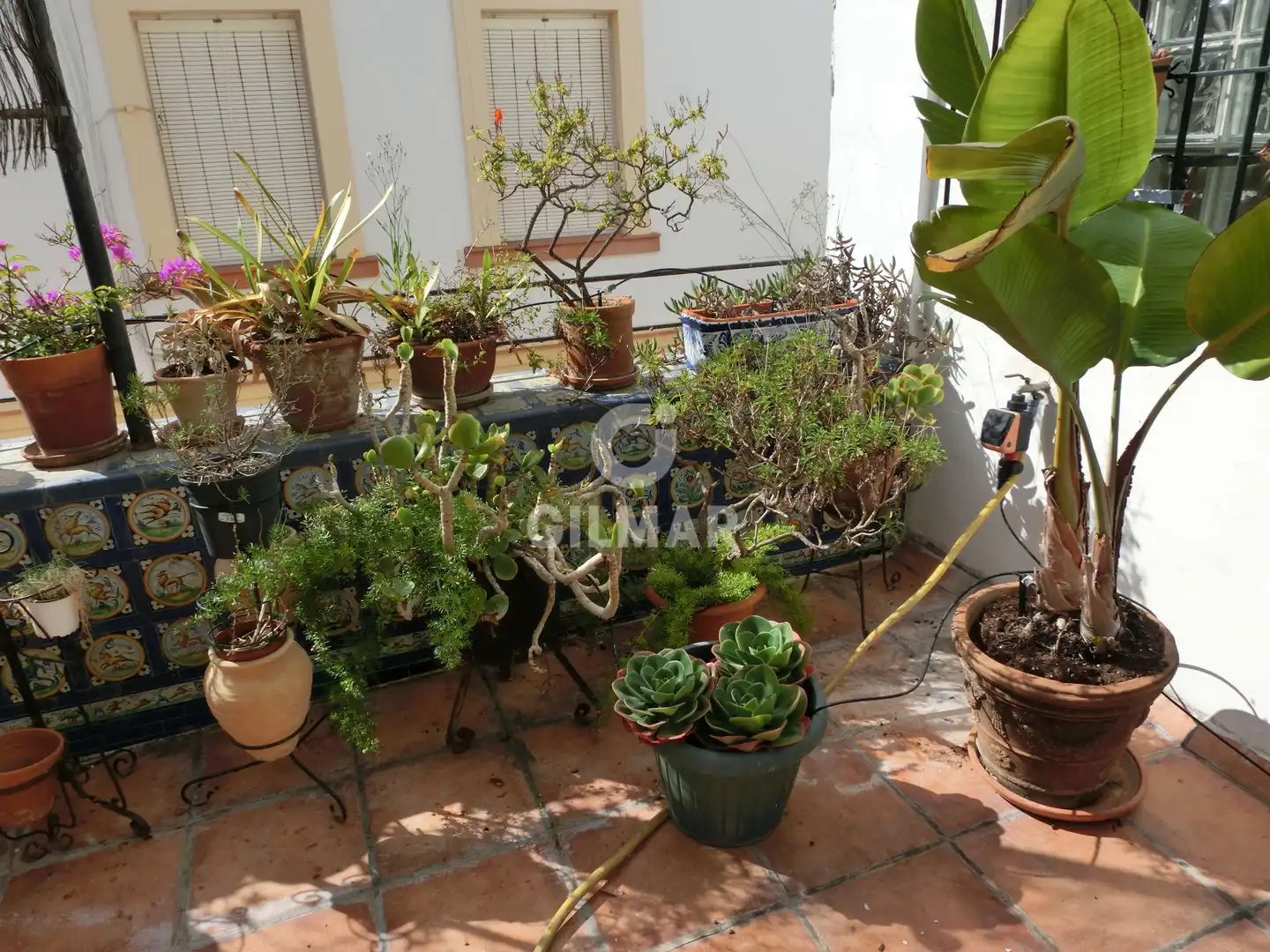 Habitatge en venda a Centro, imagen 10
