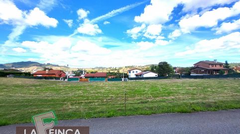 LlaneraTerreno