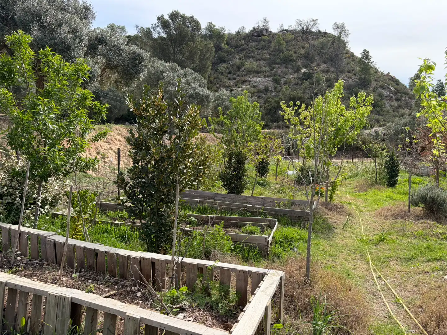 Finca rústica en venta en Flix