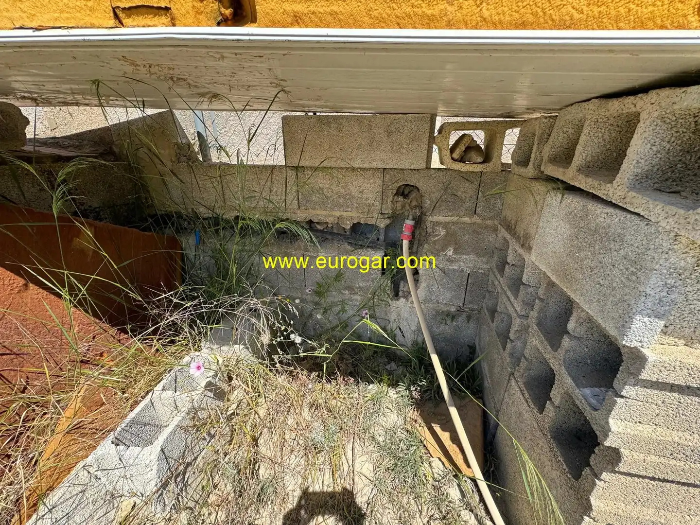 Terrain rustique à vendre à Los Felipes - Corral de Carmelo, imagen 9
