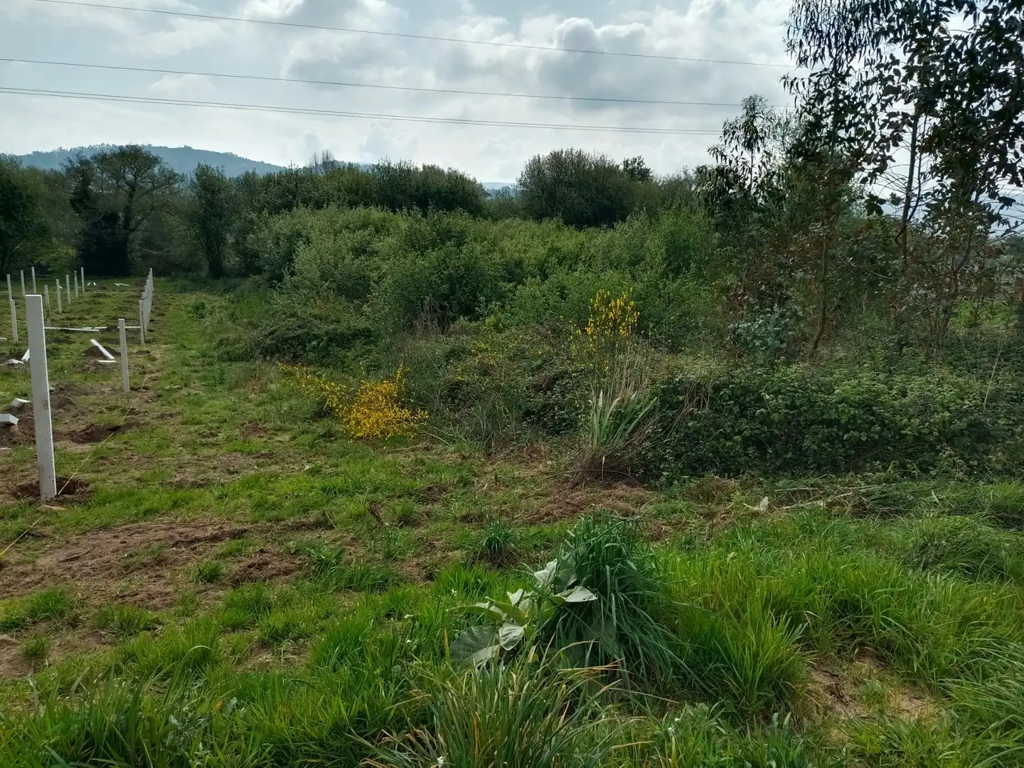 Terrenos y solares en venta en Ribadumia, imagen 6
