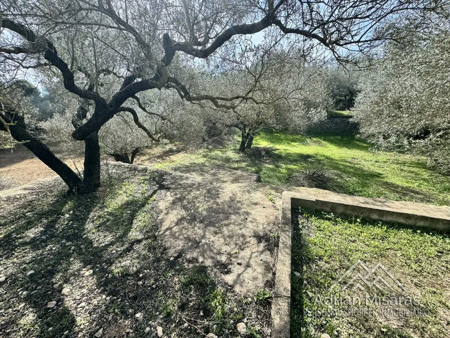 Terreno rústico en venta en L'Aldea, imagen 40