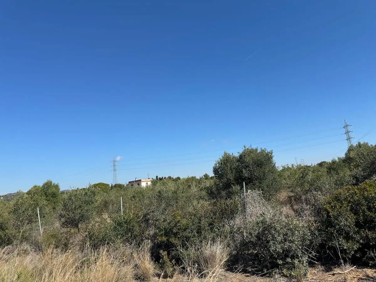 Terreny residencial en venda a PARTIDA LES CLOTES. Sector 46 Pol. 11 Parcela, imagen 5