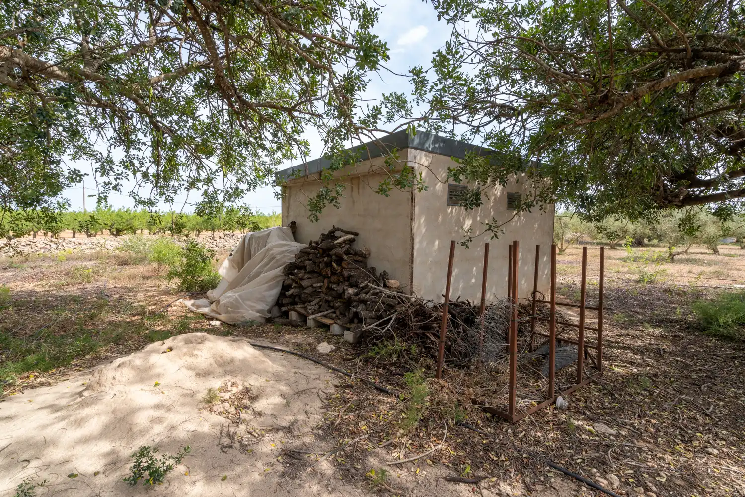 Rural land for sale in Camí Sant Francesc 10, imagen 23