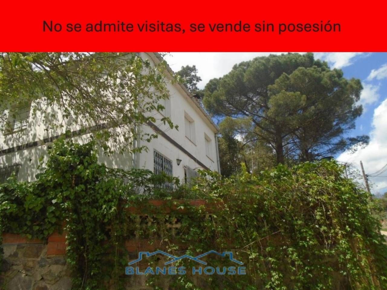 Jardí de Casa o xalet en venda en Massanes