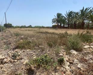 Land for sale in Elche / Elx