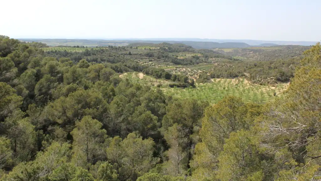 Finca rústica en venda en Maella