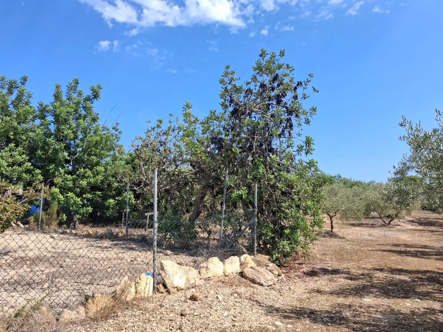 Terrain rustique à vendre à El Perelló, imagen 17