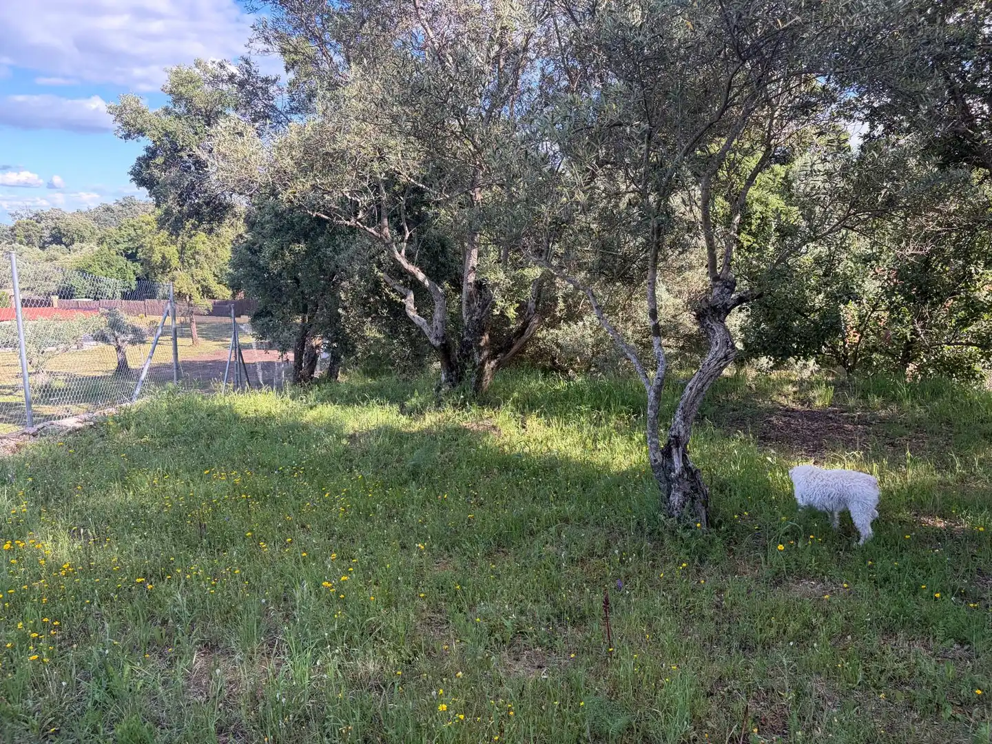 Terreni e lotti in vendita a N/A, imagen 6