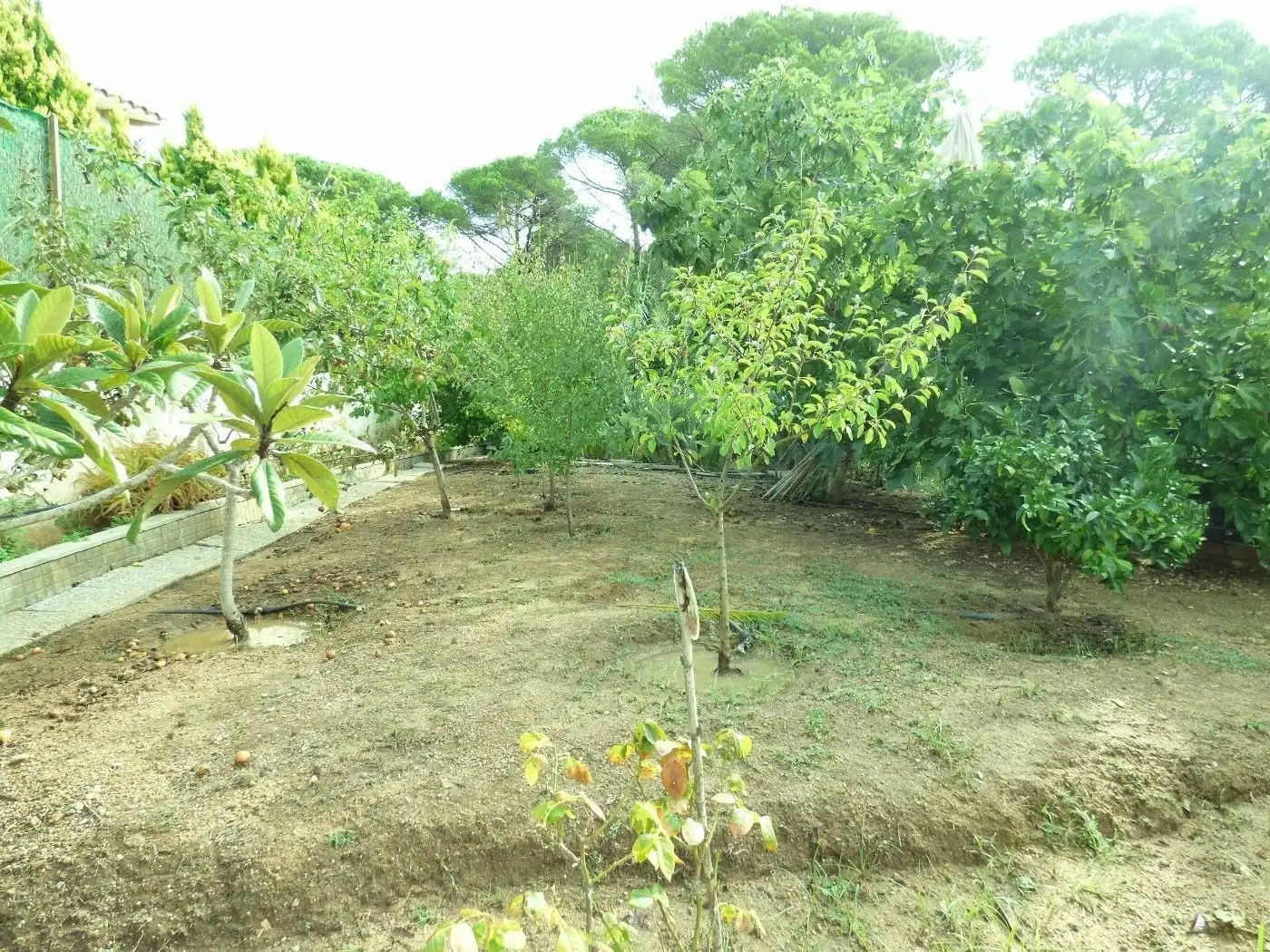 Maison avec piscine à vendre à Lloret Verd - Els Pinars, imagen 38