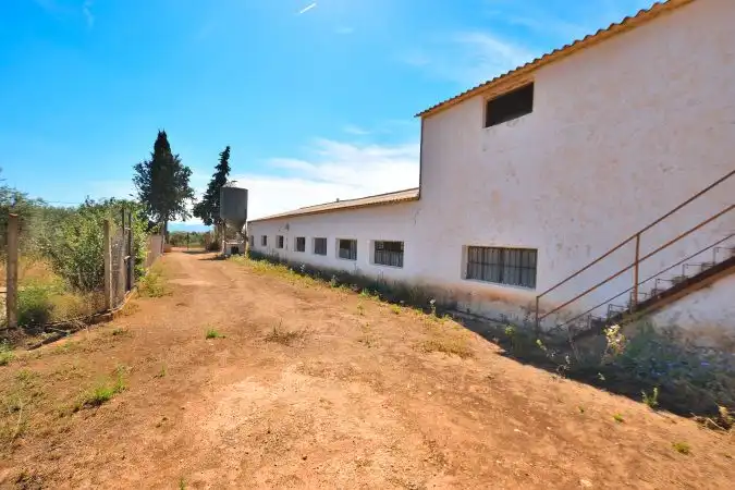 Vista exterior de Finca rústica en venta en Arriate con Jardín privado y Trastero