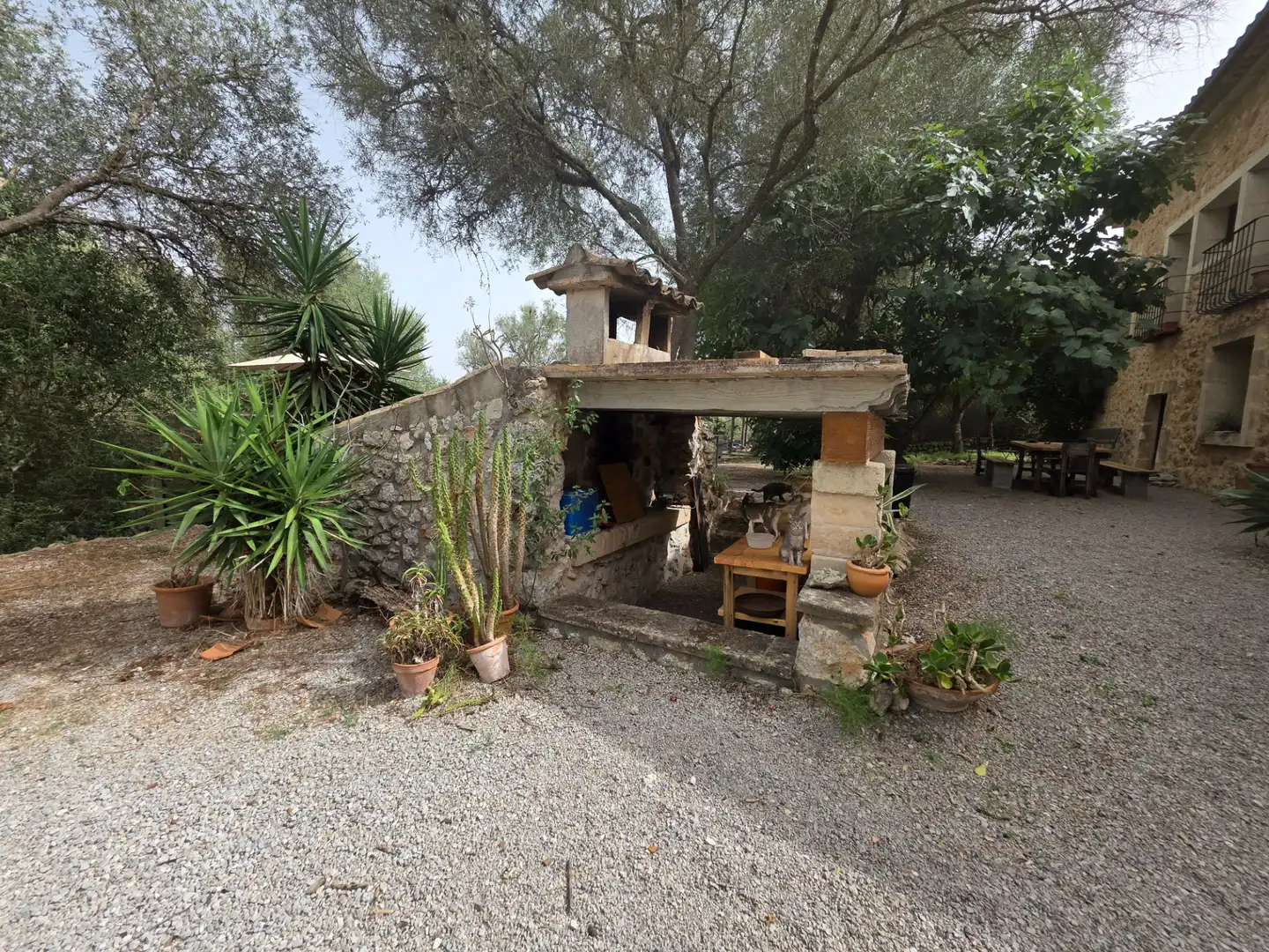 Garden of Country homes for rent in Alaior  with Private garden, Terrace and Swimming Pool