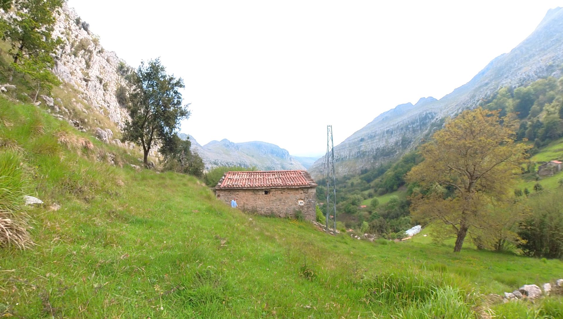 Finca rústica en venta en Barrio Mortesante, 17, Miera