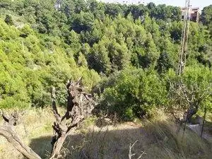 Terrenys i solars en venda a Ullastrell, imagen 5