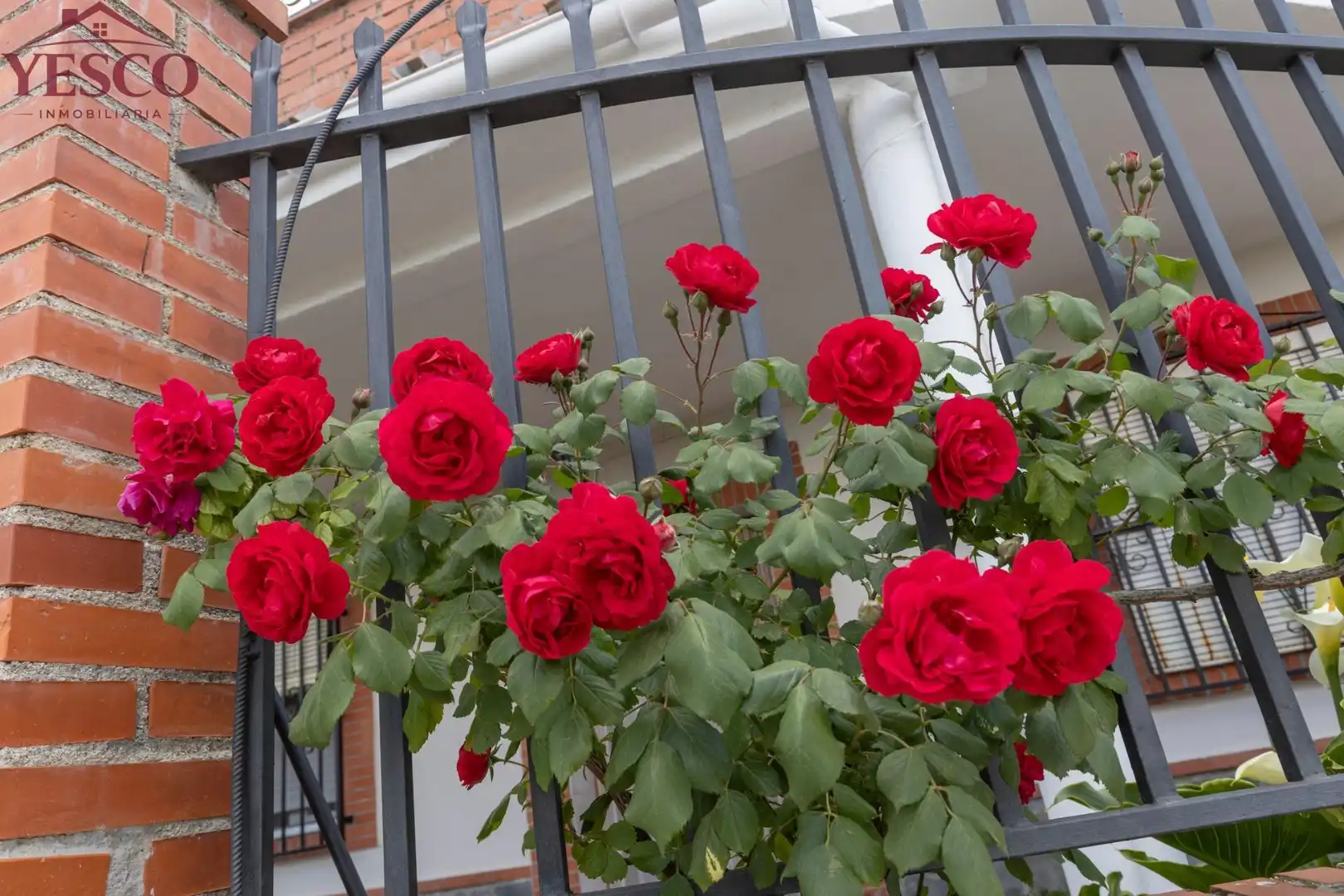Terraza de Casa adosada en venta en Víznar con Jardín privado, Terraza y Piscina