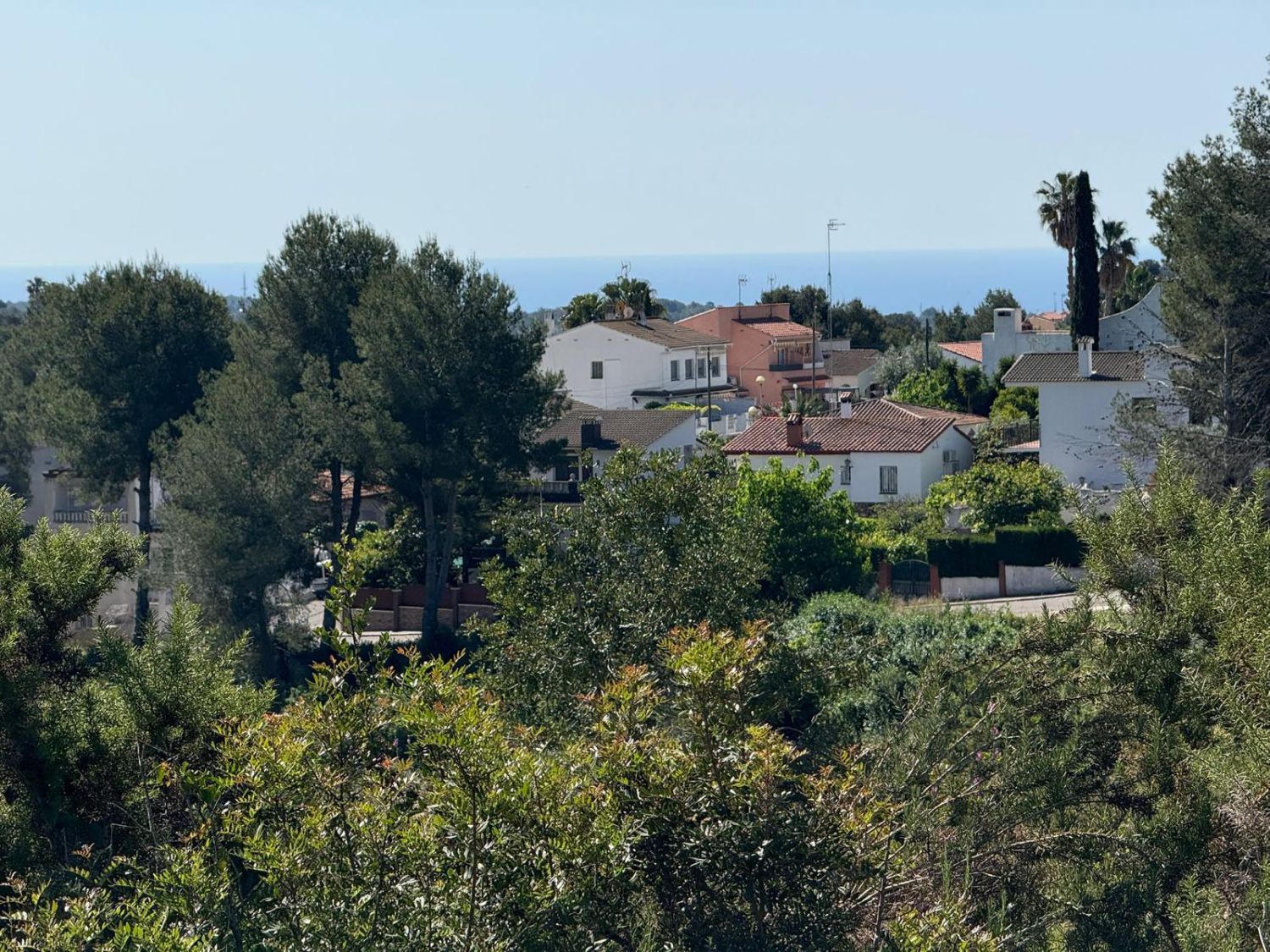 Vista exterior de Finca rústica en venta en La Pobla de Montornès  