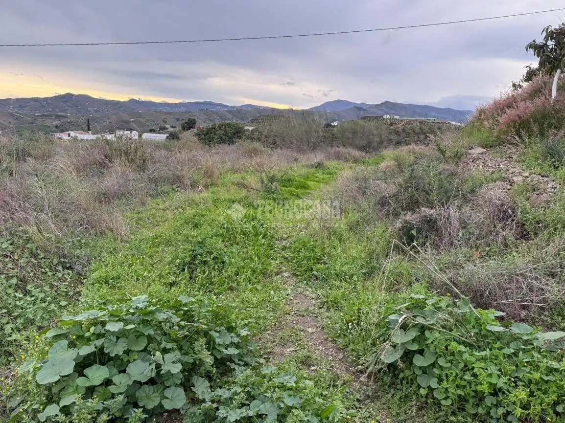 Terreny rústic en venda a Vélez-Málaga ciudad, imagen 10