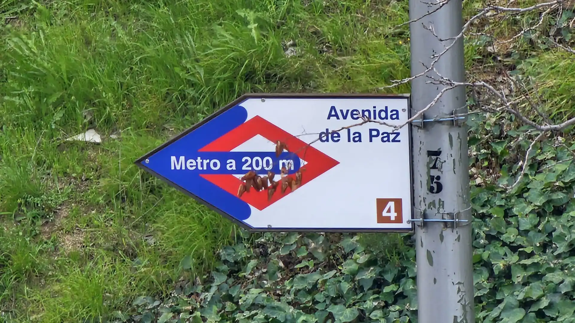 Vista exterior de Piso en venta en Madrid con Aire acondicionado, Calefacción y Jardín privado