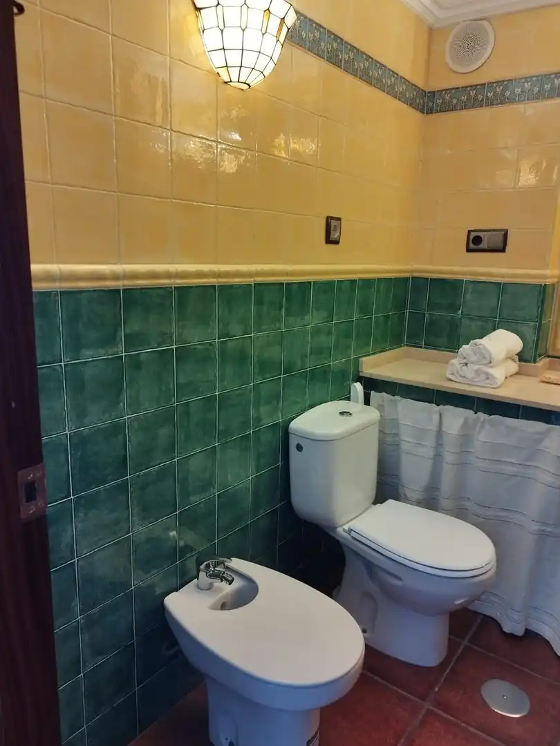 Appartamento con ascensore in affitto a Casco Antiguo, imagen 24