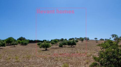 Foto 5 de Terreno en venta en Carretera de Carrossa, Km 3, Sant Llorenç des Cardassar, Illes Balears