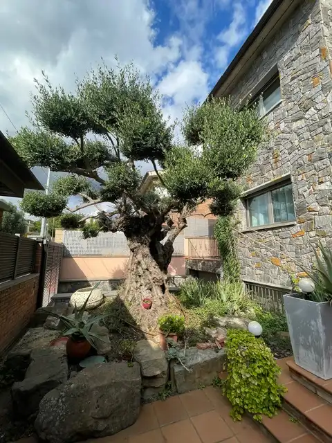 Chalet con terraza en venta en Viladecavalls, imagen 2