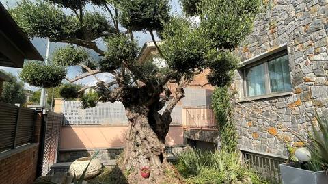 Foto 2 de Casa o xalet en venda a Viladecavalls, Barcelona