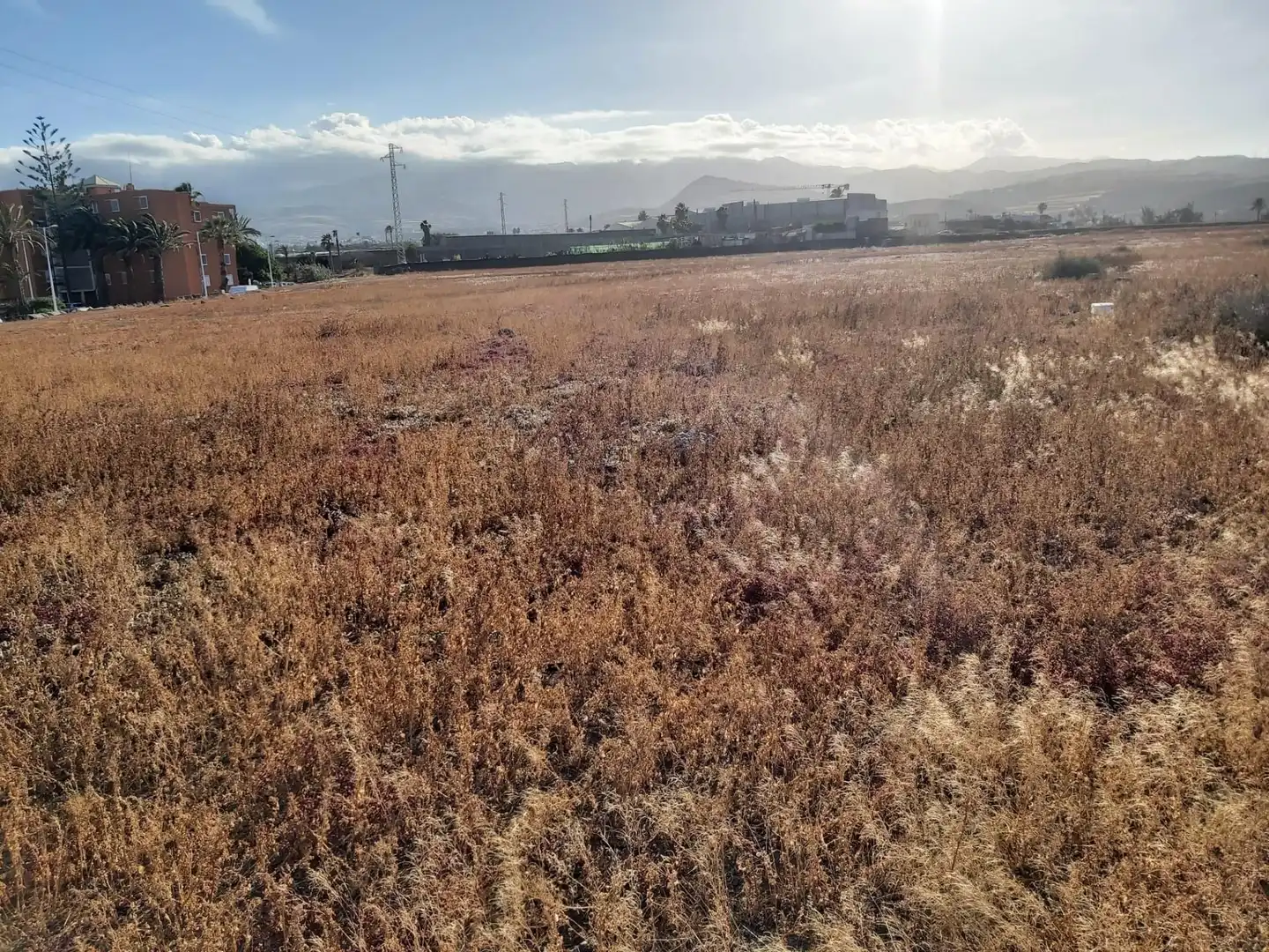 FINCA RÚSTICA EN TELDE, imatge 4