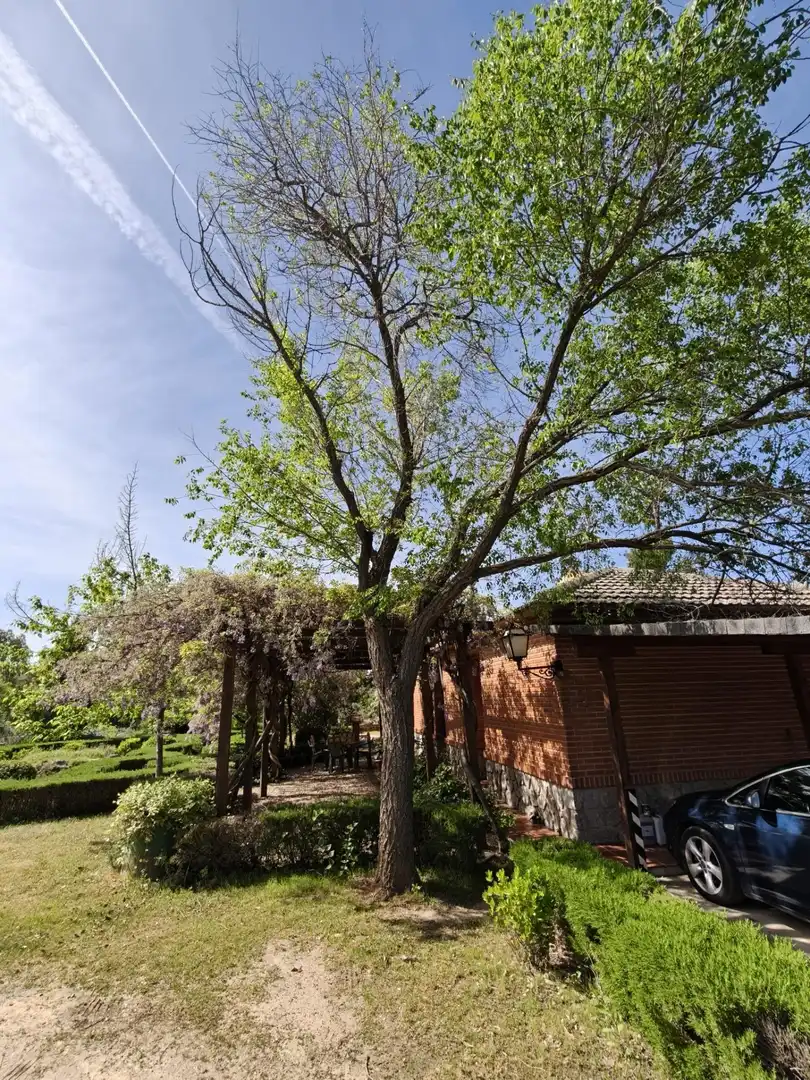 Chalet en venta en CERRO PALOS poligono 45 parcela 63, imagen 15