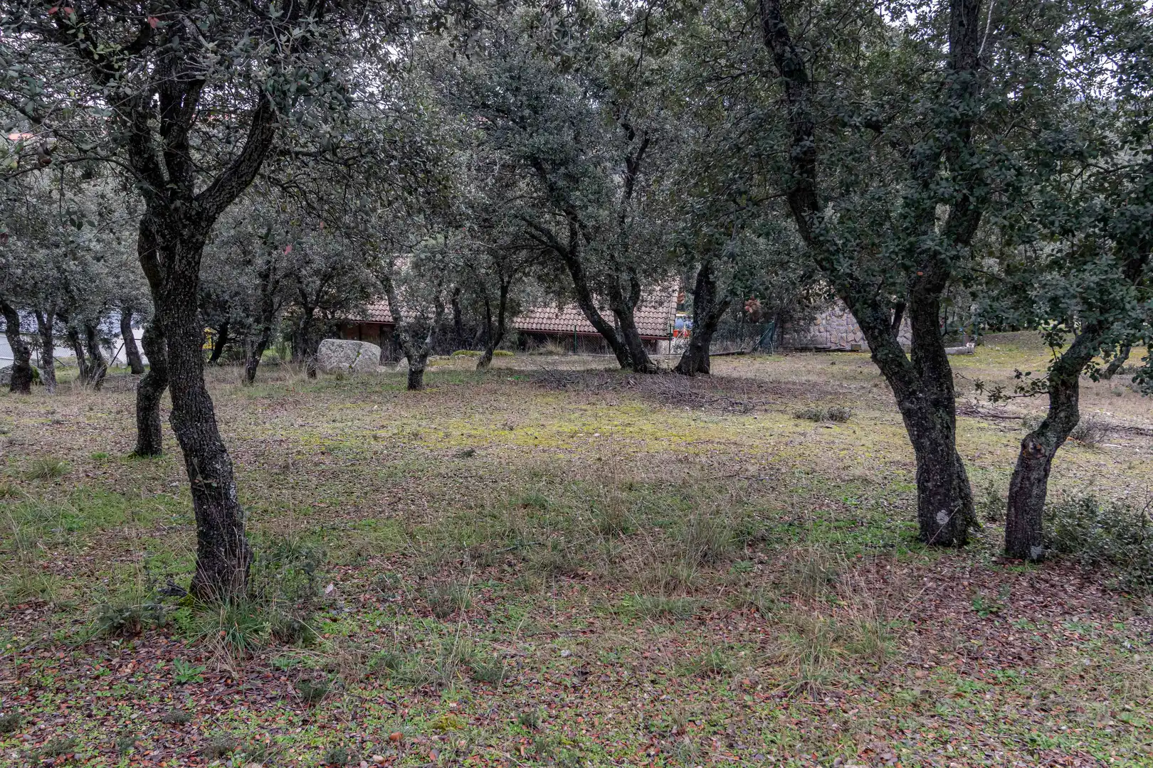 Casa o chalet en venta en Camino Monte, Ituero y Lama