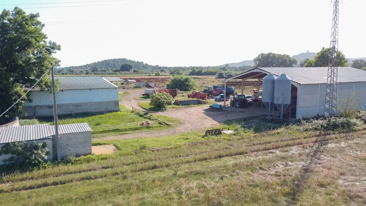 Rural land for sale in Ulldecona, imagen 10