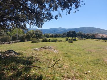 Terreny residencial en venda a Ortigosa del Monte