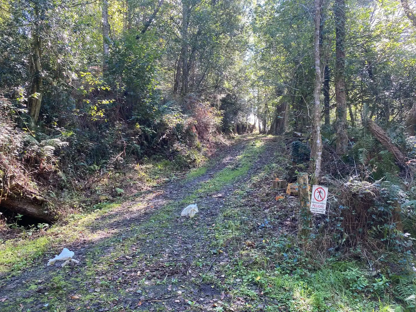 Maison avec jardin à vendre à Tresmonte, imagen 6