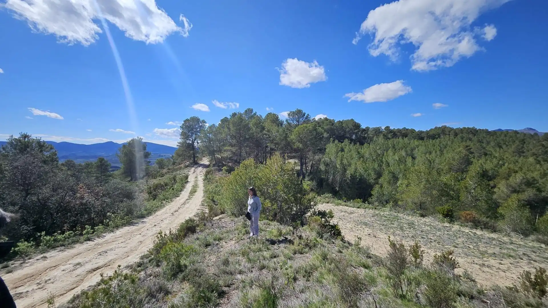 Terrain rustique à vendre à Millena, imagen 18