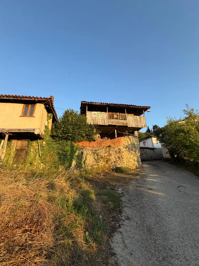 Rural land for sale in Tineo, imagen 18
