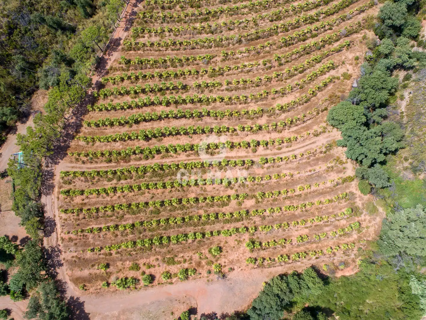 Terreno rustico in vendita a Altos de Estepona, imagen 8