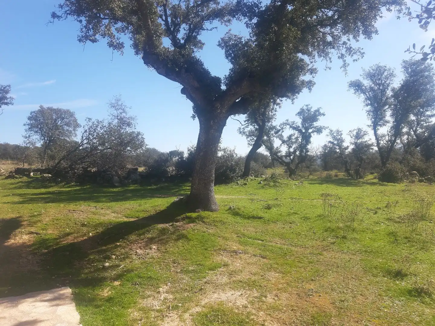 Terreno en venta en Mijares