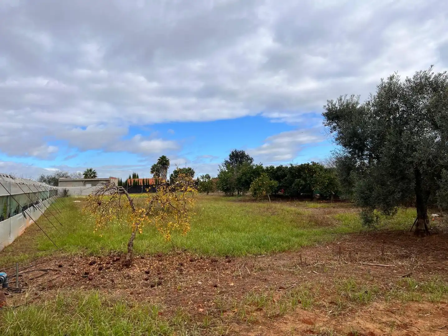 Casa o chalet en venta en Los Palacios y Villafranca con Piscina