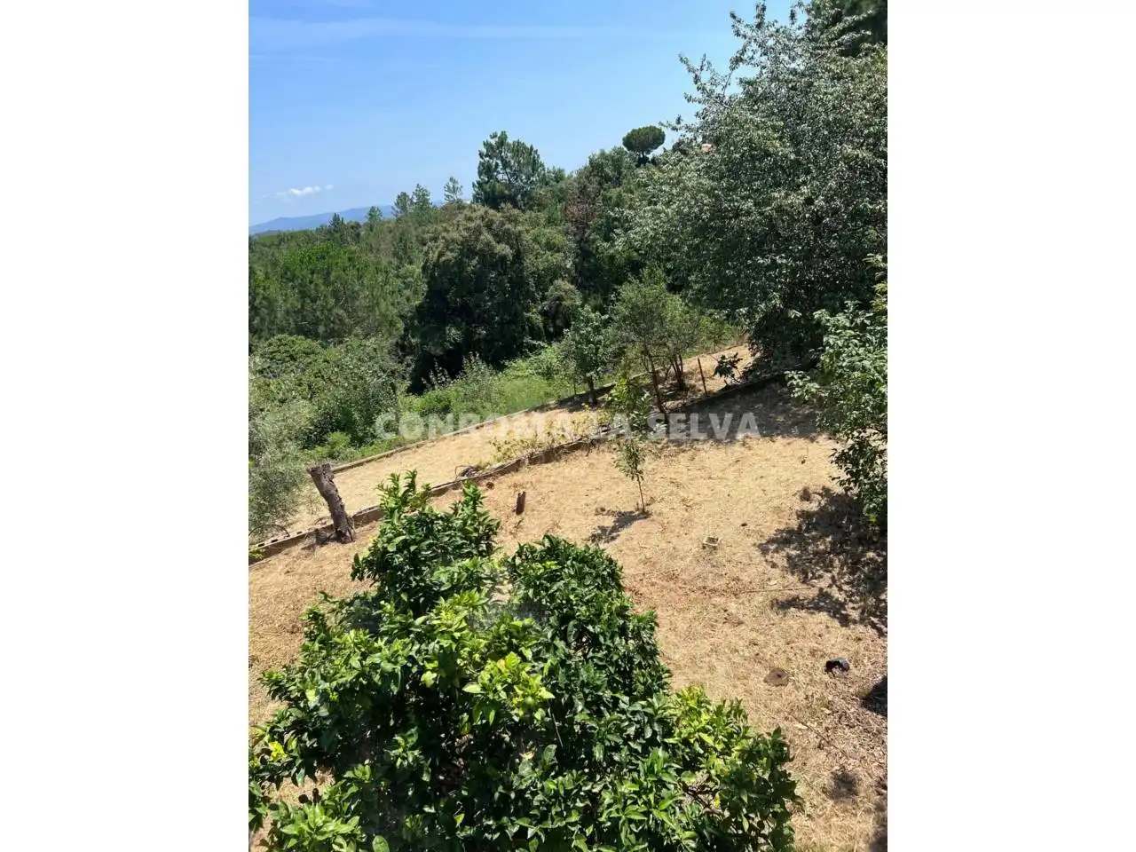 Maison avec jardin à vendre à Riudarenes, imagen 25