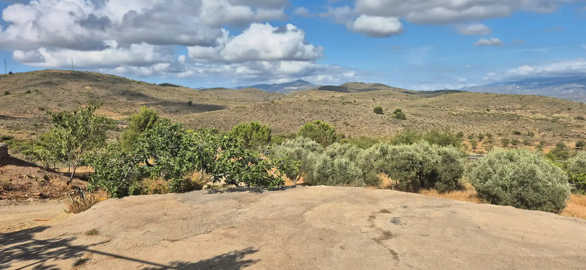 Terrain rustique à vendre à Alcolea, imagen 11