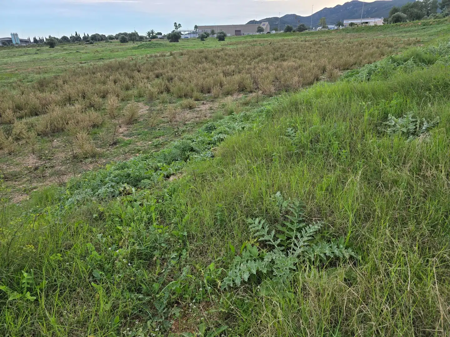 Residential for sale in Amposta