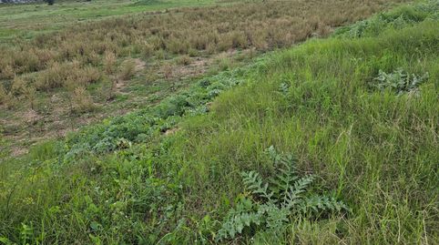 Foto 4 de Residencial en venda a Casc Antic, Amposta