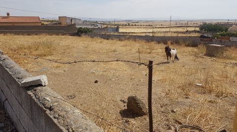 Venta de terreno en Pozoblanco