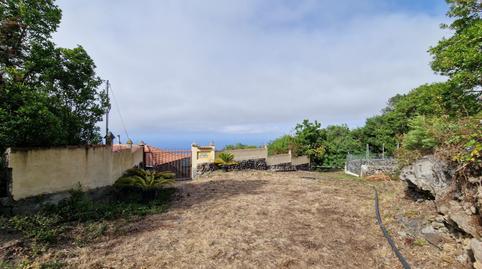 Foto 2 de Finca rústica en venda a Camino de las Cabezadas, La Vega - El Amparo - Cueva del Viento, Icod de los Vinos