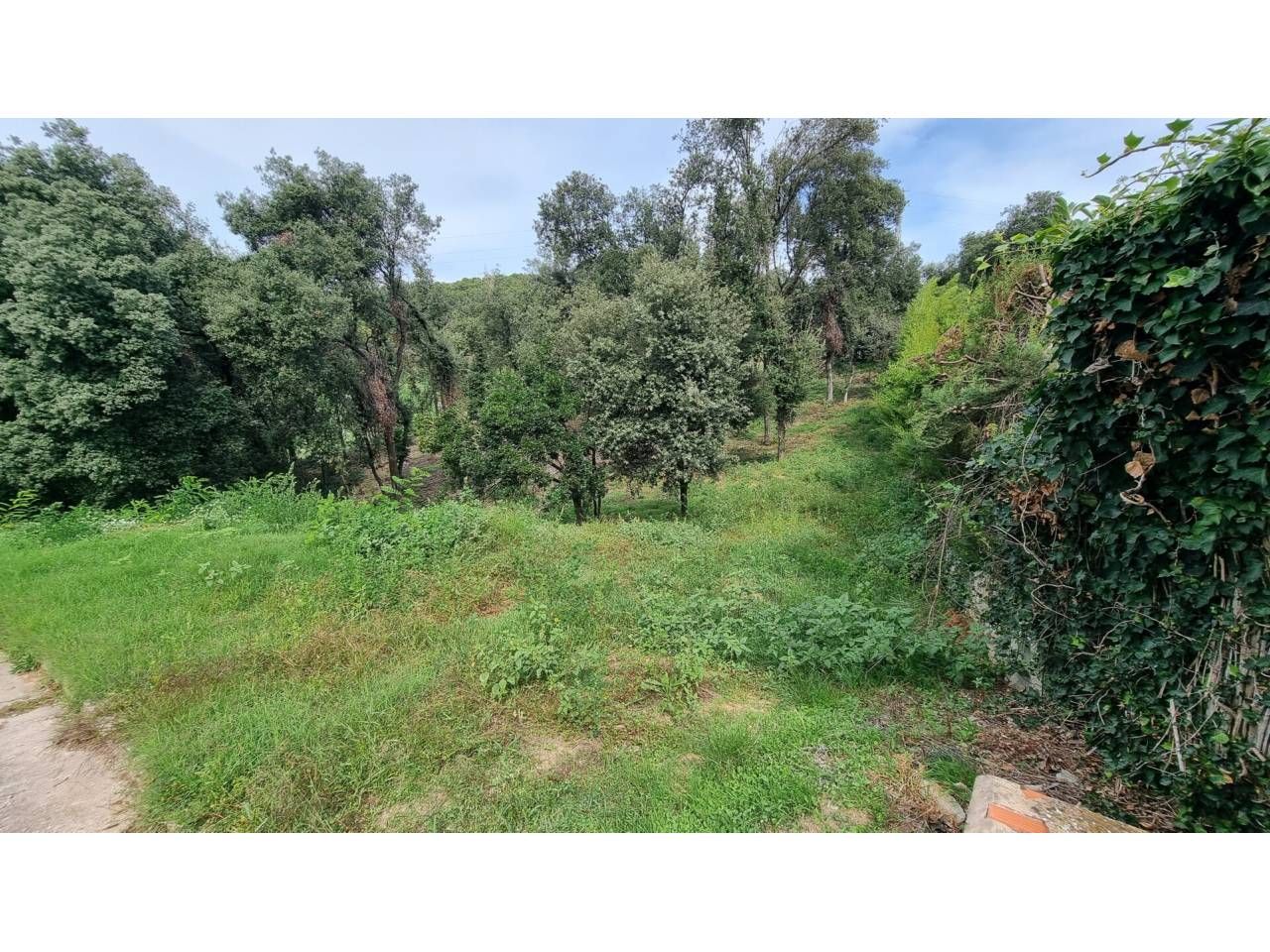 Terreny industrial en venda en Cànoves I Samalús