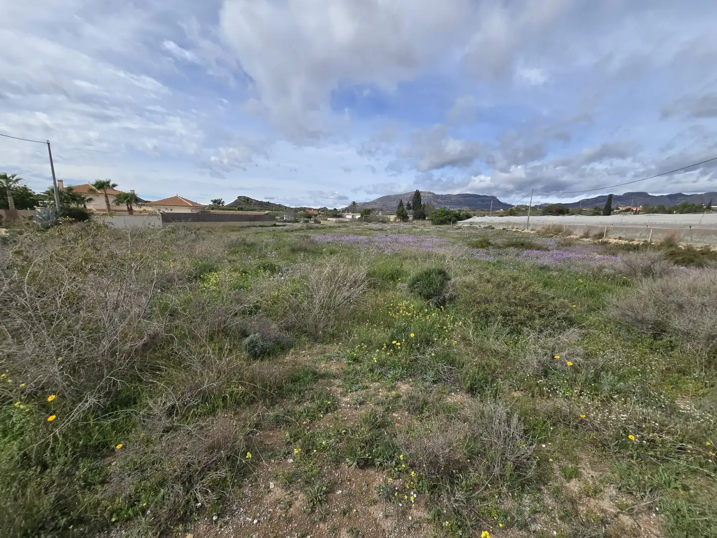Casa o xalet en venda en Agost amb Traster