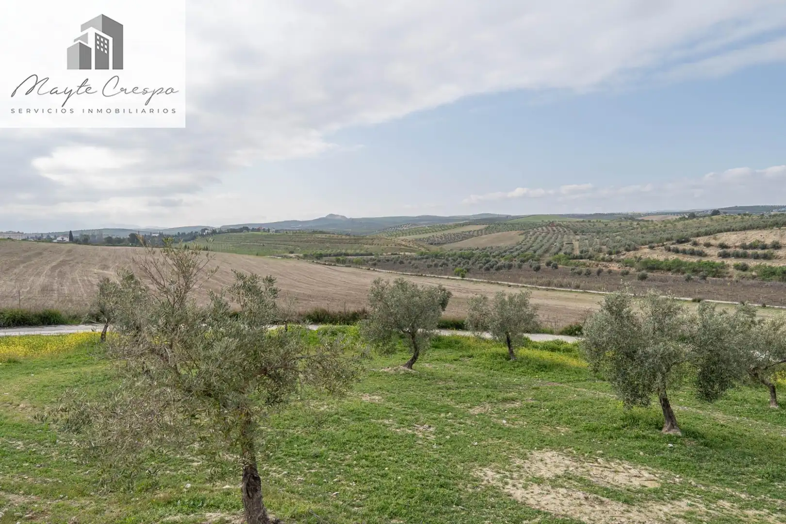 House with pool for sale in Calle del Geranio 29, imagen 18