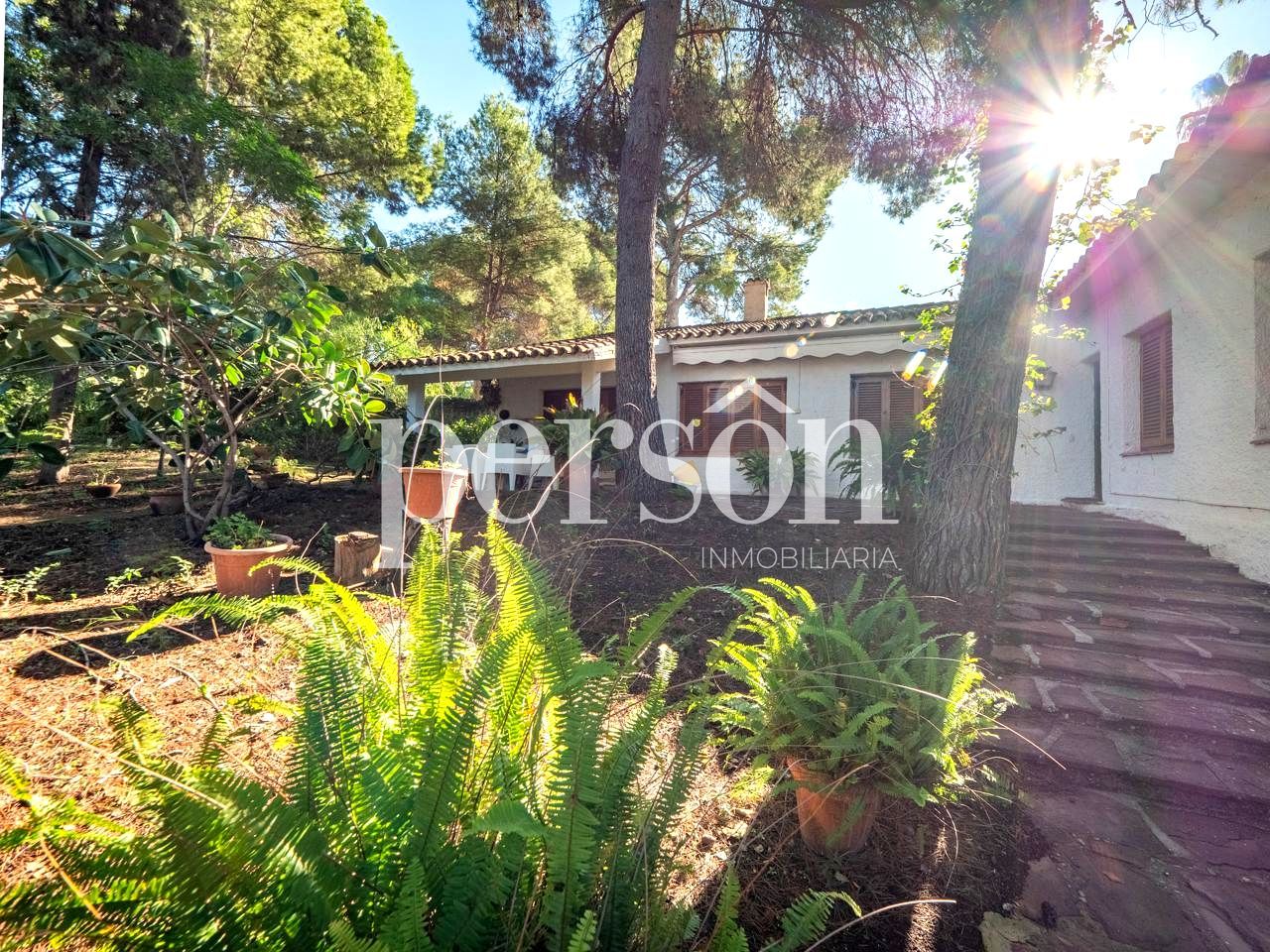 Jardí de Casa o xalet en venda en Bétera amb Jardí privat i Terrassa